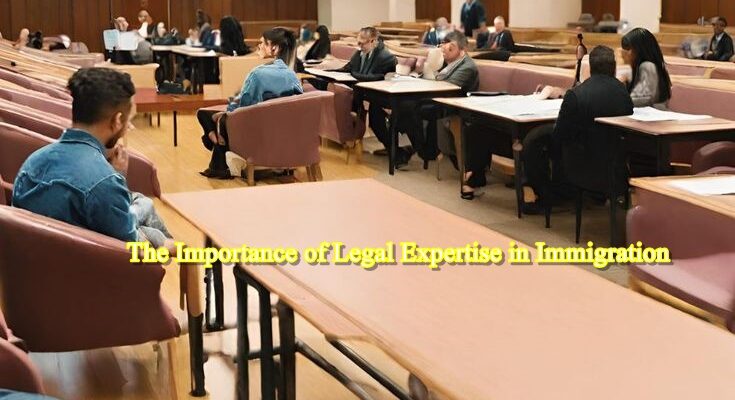 The Importance of Legal Expertise in Immigration