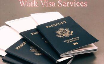 Work Visa Services