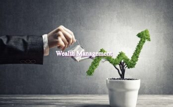 Wealth Management