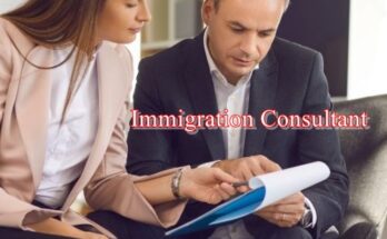 Immigration Consultant