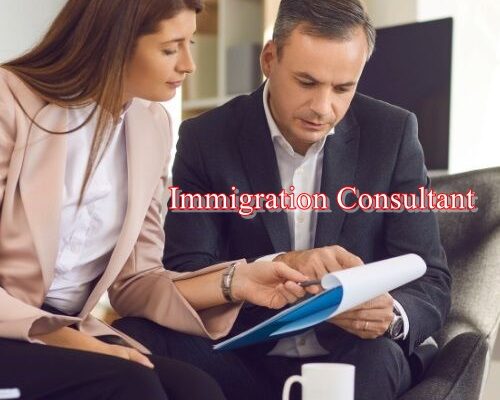 Immigration Consultant