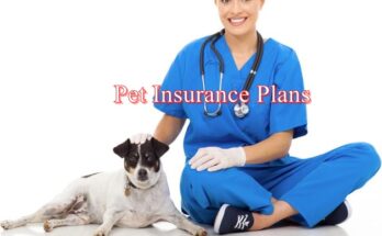 Pet Insurance Plans